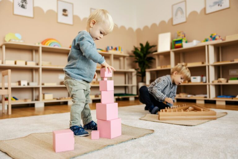 École Montessori Déploie tes Ailes de Gif-sur-Yvette (91)